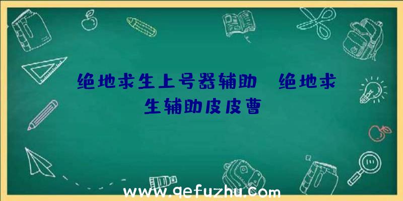 「绝地求生上号器辅助」|绝地求生辅助皮皮曹